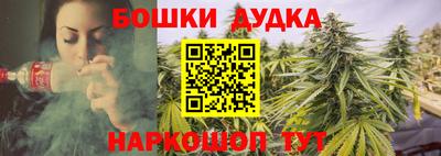 a pvp Обь