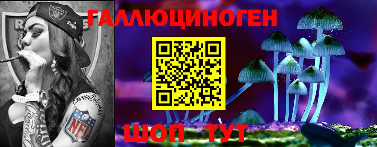 Тара  Псилоцибиновые грибы ЛСД  Вход с VPN  Псилоцибиновые грибы ЛСД 