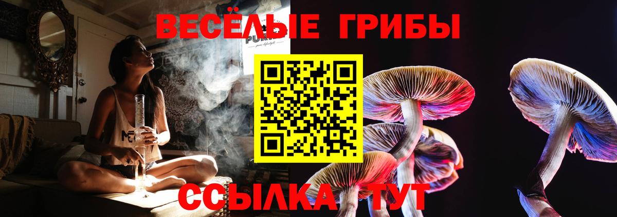 Галлюциногенные грибы ЛСД Тара