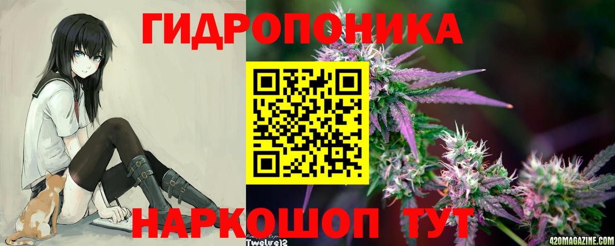 Тара  Канабис гибрид  Марихуана индика  Каннабис индика  Вход с VPN  МАРИХУАНА Amnesia 